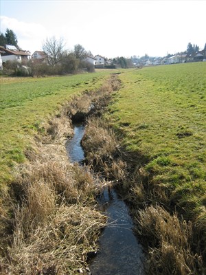 Vor_der_Renaturierung